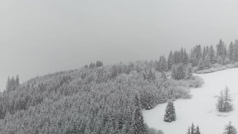 Aerial-forward-over-snow-covered-trees-and-grey-sky-during-snow-storm