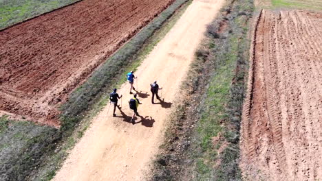 Aerial-of-Four-Hikers-Walking-on-Dirt-Path-near-Fields