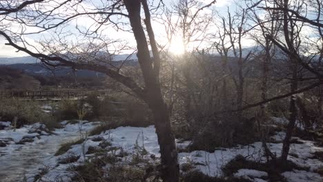 TRUCK-LEFT-Sun-beams-coming-across-winter-trees-on-Tierra-del-fuego-National-Park