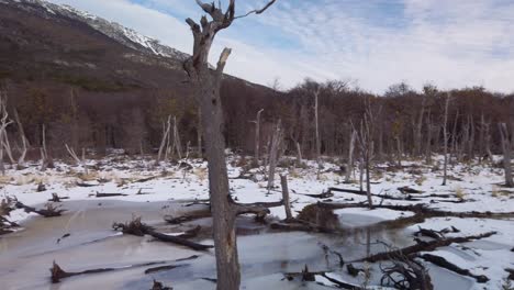 Pan-Ließ-Gefällte-Bäume-In-Verschneiten,-Gefrorenen-Biberhütten-Im-Nationalpark-Tierra-Del-Fuego-Zurück