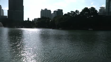Mirando-El-Río-En-Un-Parque-Público