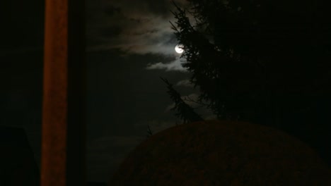 Shining-full-moon-behind-pine-trees-with-clouds-in-Berlin,-Germany