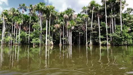 Lake-tambopata-in-peruvian-amazon