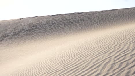 Ultra-slow-motion-panning-shot-of-sand-patterns-in-Mesquite-Flat-Sand-Dunes-in-Death-Valley-National-Park