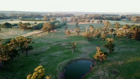 Aerial-footage-with-late-afternoon-shadows-of-agricultural-fields-with-sheep-and-native-trees-near-East-Trentham,-central-Victoria,-Australia