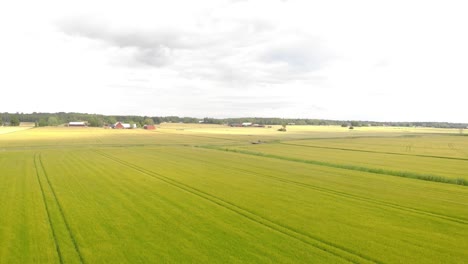 Drone-flying-fast-over-green-fields