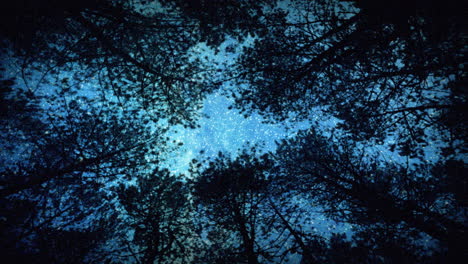 Bright-shiny-stars-in-a-dark-forest-night