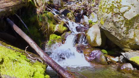 Wasser,-Das-An-Einem-Warmen-Frühlingstag-über-Moosbedeckte-Felsen-Im-Wald-Kaskadiert,-Zeitlupe