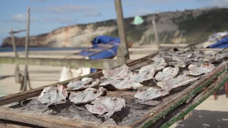 Dry-fish,-outdoors,-on-the-beach-of-Nazaré-in-Portugal,-keeps-the-tradition-of-drying-the-fish-for-the-days-of-scarcity