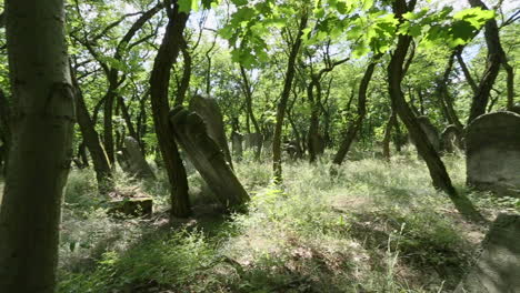Wunderschön-Geschnitzte-Jüdische-Grabsteine-Mit-Hebräischen-Inschriften-Auf-Dem-Jüdischen-Friedhof-In-Zdunska-Wola-Polen