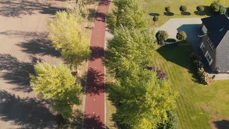 Aerial-fixed-perspective-on-a-Dutch-bicycle-freeway-in-between-a-lane-of-tall-trees-waving-in-the-strong-wind-with-a-cyclist-passing-in-a-suburban-environment