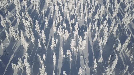 Luftaufnahmen-Vom-Flug-über-Einem-Wunderschönen-Verschneiten-Wald-Mitten-In-Der-Wildnis-In-Lappland,-Finnland