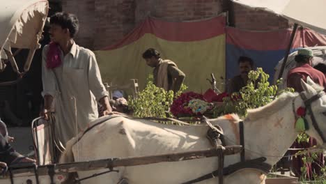 Eine-Familie-Wartet-Auf-Einem-Pferdewagen,-Multan-Streets,-Pakistan