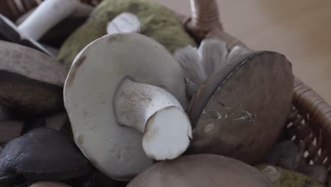 Tilt-down-shot-of-mushrooms-in-a-basket