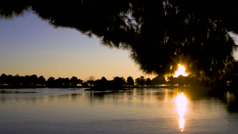 Trees-over-lake-at-sunrise