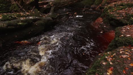 Flussbach-Fließt-Im-Herbst-Mit-Gefallenen-Bunten-Blättern-Auf-Dem-Boden-Am-Finnich-Glen-Devils-Pulpit-In-Schottland,-Vereinigtes-Königreich