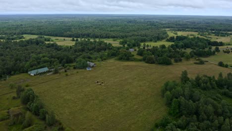 Aerial-movement-towards-cows-on-a-field-near-farmhouse