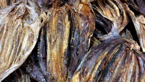 Katsuwonus-pelamis-Skipjack-tuna-fish-salted-and-sun-dried-prohibited-endangered-species-fisheries-sell-buy-local-fish-market-portuguese-traditional-cusine-delicacy-atlantic-ocean-catch-smoked