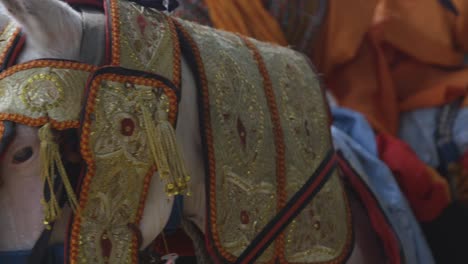 Close-Up-On-Eyes-Of-Decorated-Durbar-Horse-With-Northern-Nigerian-Rider-Blurred-In-Background