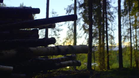 Slow-slider-shot-across-wood-logs-during-sunset-in-a-Forest-in-Ruovesi,-Finland