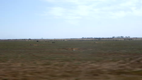 View-from-a-train-window-look-out-at-dry-arid-farm-land
