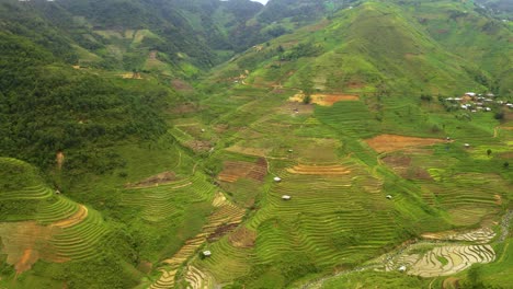 Massive-valley-packed-full-of-lush-green-rice-terraces-in-northern-Vietnam