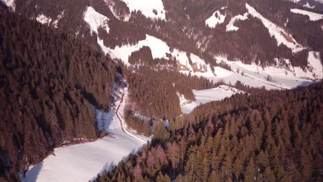 A-flight-over-a-forest-in-austria-with-a-pan-tilt-movement-down