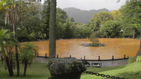 The-Thermal-Water-Pool-of-Terra-Nostra-Park-at-Furnas-on-the-Sao-Miguel-island