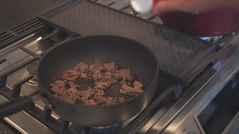 Adding-salt-and-pepper-to-ground-beef