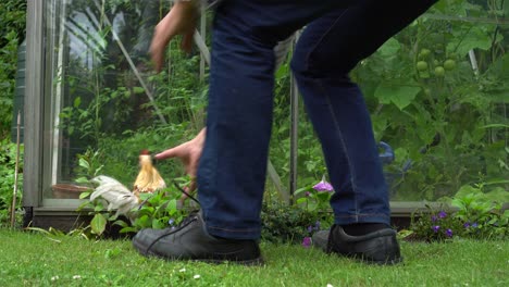 Person-trying-to-catch-domestic-chickens-in-garden,-ground-level-view