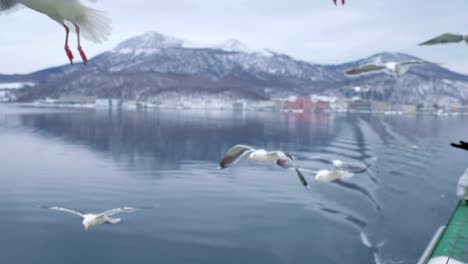 Boat-trip-on-the-Lake-in-Hokkaido,-people-feeding-the-seagulls
