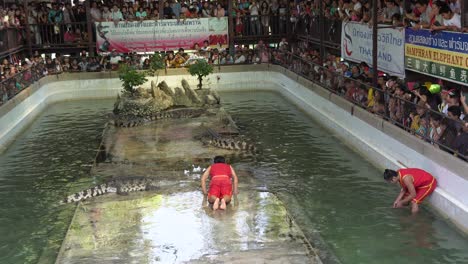 Tierpfleger-Rutscht-Auf-Dem-Nassen-Bürgersteig-In-Richtung-Des-Mauls-Eines-Gefährlichen-Krokodils,-Während-Viele-Touristen-Die-Show-Auf-Der-Krokodilfarm-Und-Im-Zoo-Von-Samut-Prakan-In-Thailand-Beobachten