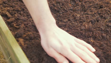 Young-hands-pulling-soil-over-freshly-sown-seeds-4K