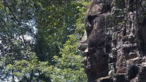 Großer-Steinwand-Dschungel-Rund-Um-Angkor-Wat