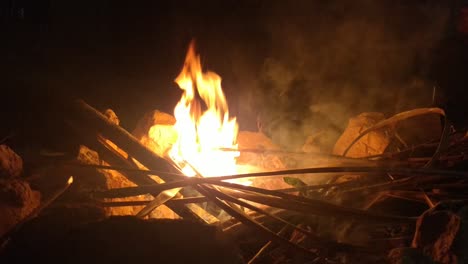 Bonfire-burning-trees-at-night