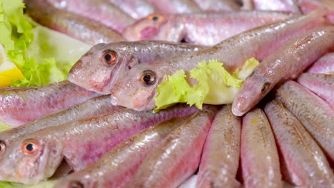 Raw-mullet-fish