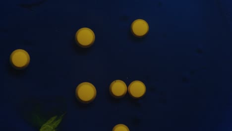 Makroaufnahmen-Von-Gelben-Tintenpunkten,-Die-Sich-Auf-Einer-Dunkelblauen-Oberfläche-Aufeinander-Zu-Bewegen