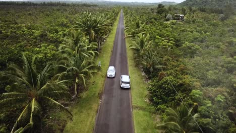 Drone-shot-following-a-car-driving-through-a-tropical-road-lined-with-Coconut-Trees-and-Palm-Trees-on-the-Big-Island-of-Hawaii