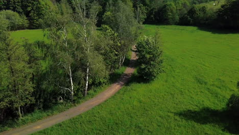 Aerial-view-of-people-riding-bicycles-through-a-winding-path-in-the-countryside-with-trees-on-both-sides-during-summer-time