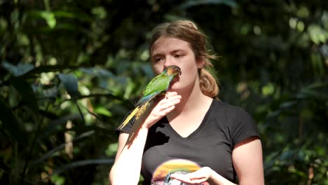 green-parrot-,-blue-throated-conure-parrot-sitting-on-human-hand-and-head-free-fly-parrot-sitting-on-sitting-on-human-free-fly-parrot-playing-with-girl