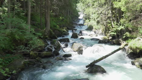 Stream-with-blue-water-in-the-woods-of-the-italian-Alps-slow-motion-100-fps