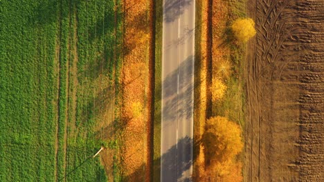 Aerial-view-of-road-in-beautiful-autumn-forest-at-sunset