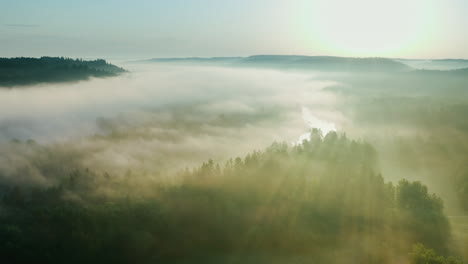 Dramatic-misty-morning-sun-rays-filtering-through-cloudy-forest,-aerial-view
