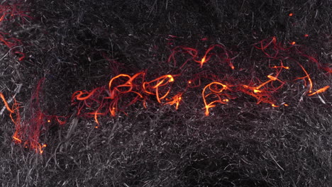Sparkling-Burning-Curled-Strands-Of-Steel-Wool