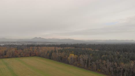 Drone-4K-Footage-of-agricultural-grassfields-farmland-near-a-thick-wooded-forest-in-a-rural-develop-environment-shot-on-a-cloudy-day-Fields-in-Langley