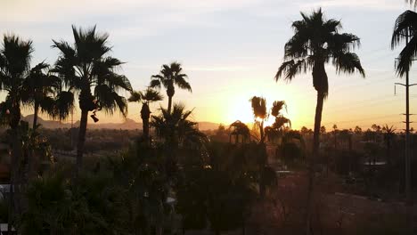 Sonnenuntergang-Mit-Palmensilhouetten-In-Arizona---Epische-Luftaufnahme