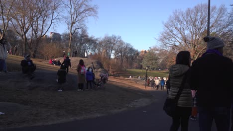 Central-Park-Grassy-Area-With-People-Walking-And-Playing-During-Christmas-Holiday-Time,-Wide-Angle