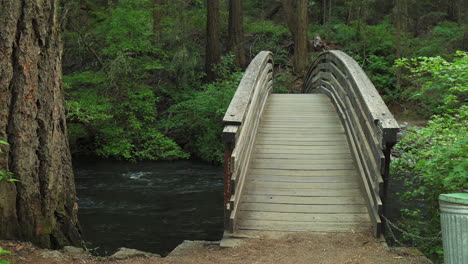 People-walking-on-a-wooden-bridge-over-a-forest-stream-flowing,-near-Burney-Falls