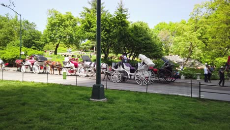 Pferdekutschenfahrten-Im-Central-Park-In-New-York-City