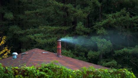 Timelapse-of-Chimney-Smoke-From-House-in-the-Woods